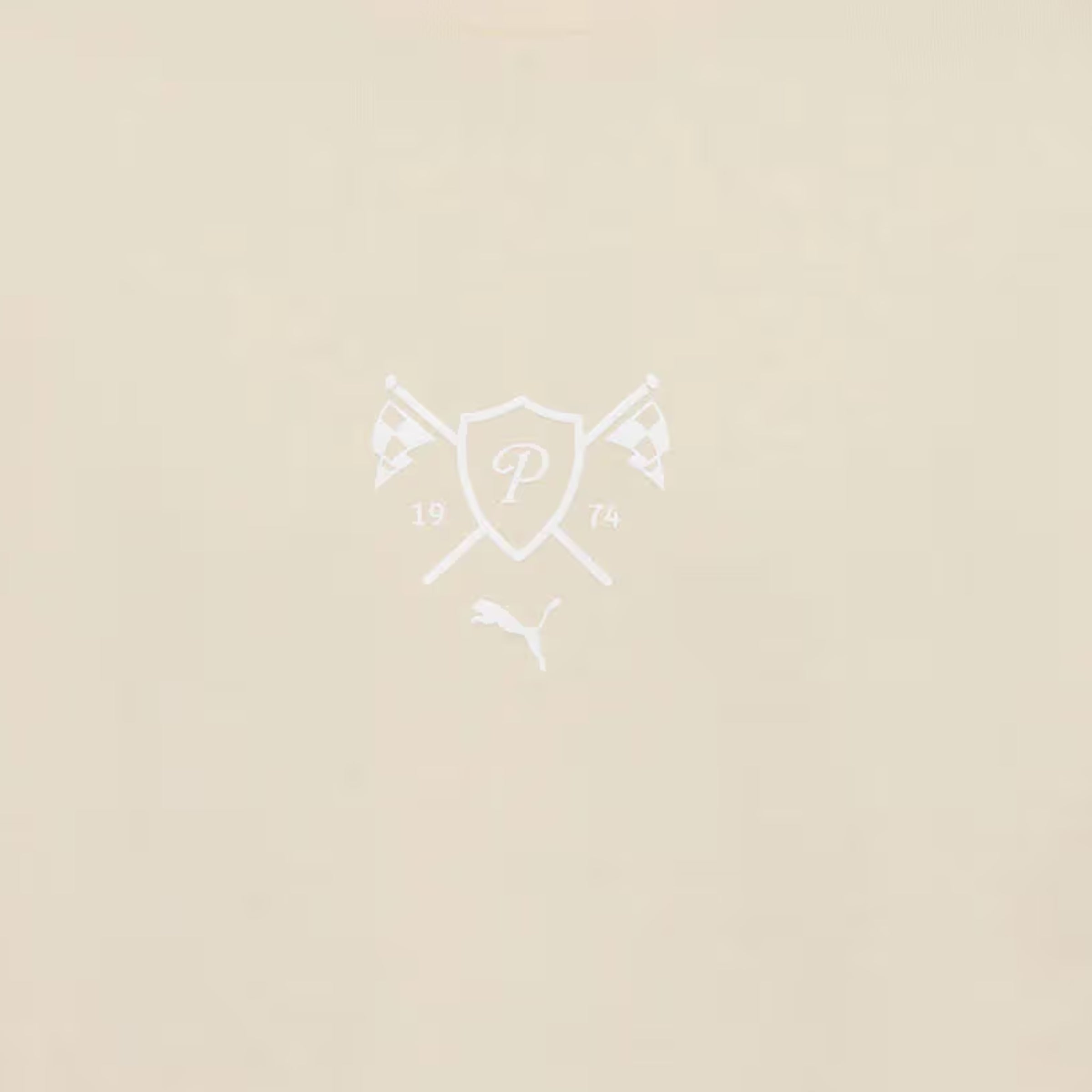 Puma T-Shirt Lifestyle Graphic White